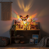 Embracing the Chihuahua Lifestyle