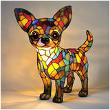 Embracing the Chihuahua Lifestyle