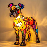 Elegant Boxer